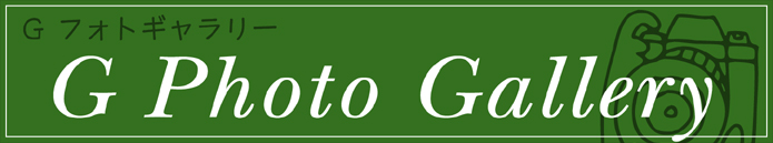 G Photo Gallery