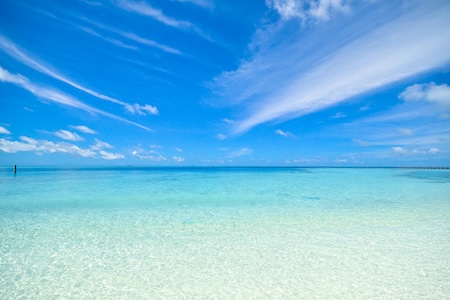 海