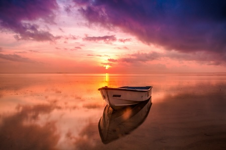 海